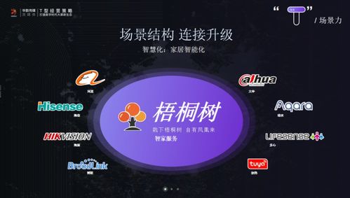 正定论道 华数传媒苏松解析T型经营策略，以数字文创内容服务打造大屏新生态